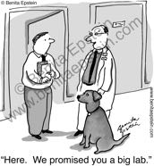 funny college cartoons university higher education research experiment laboratory laborador retreiver big-lab test testing campus professor teach teaching teacher theory experimentation cartoon 1089